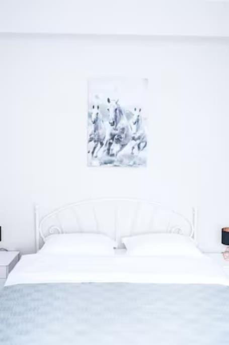 Natalia & Didier Apartment in Cluj-Napoca