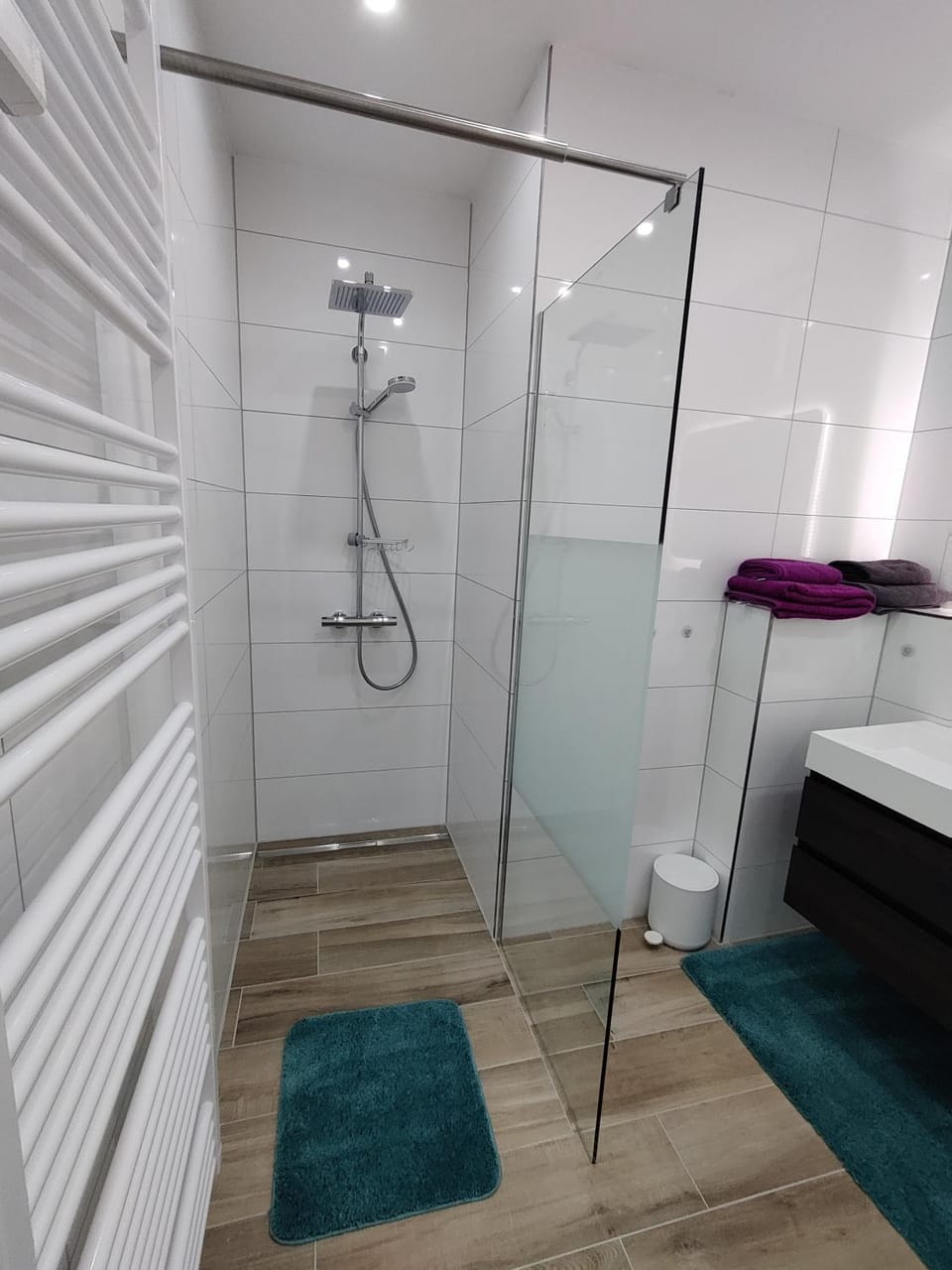 Bathroom, Living room