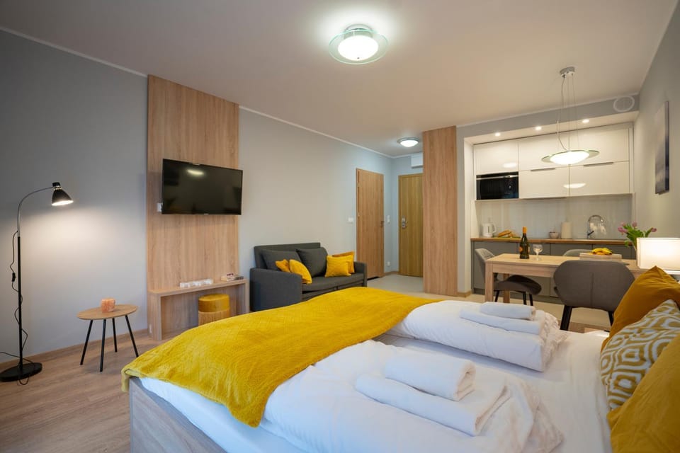 Bed, TV and multimedia, Kitchen or kitchenette, Photo of the whole room, Seating area, Bedroom