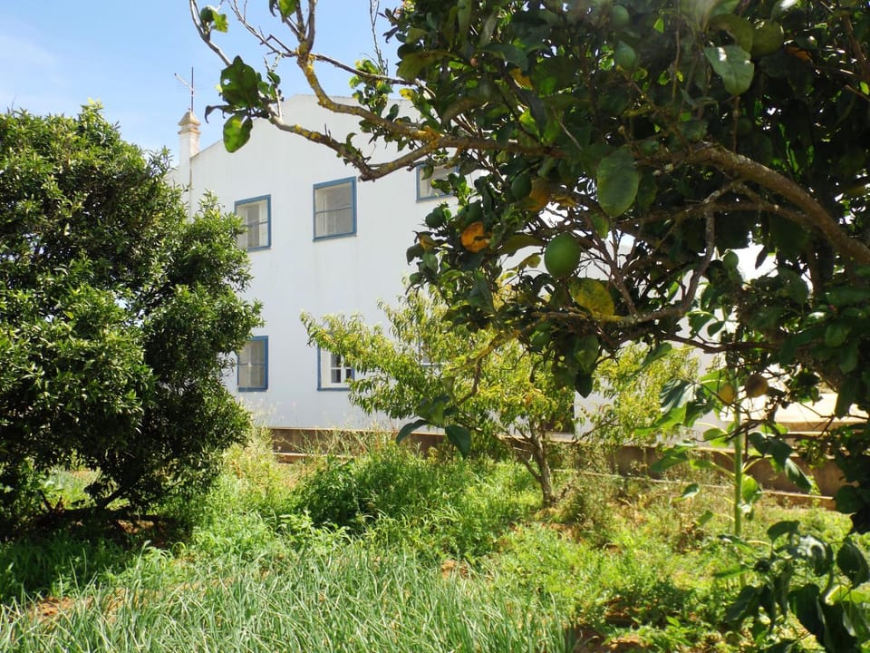 Casas do Pomar House in Lagos