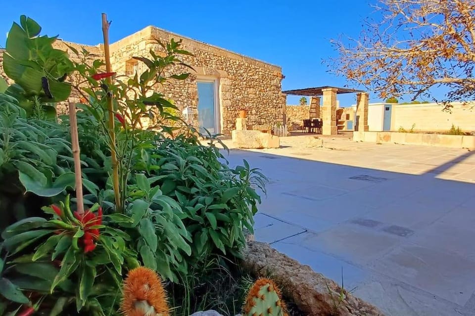 Property building, Spring, Garden, Garden view
