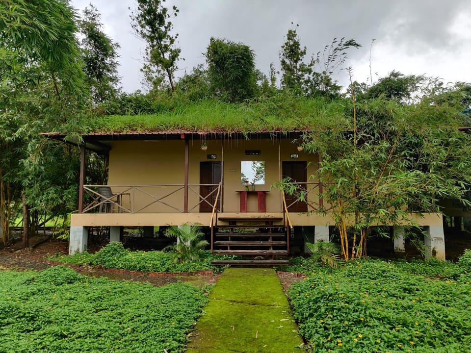 Property building, Garden, Garden view