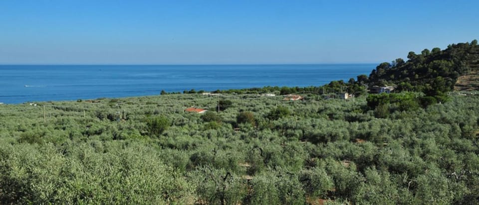 Property logo or sign, Balcony/Terrace, Mountain view, Sea view