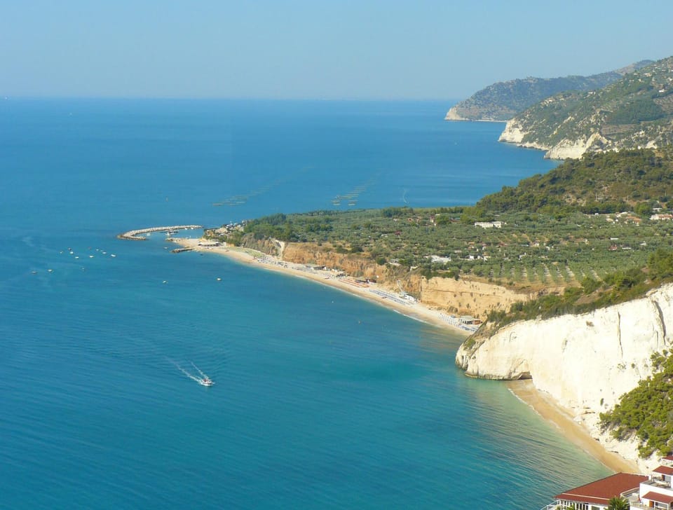 View (from property/room), Beach