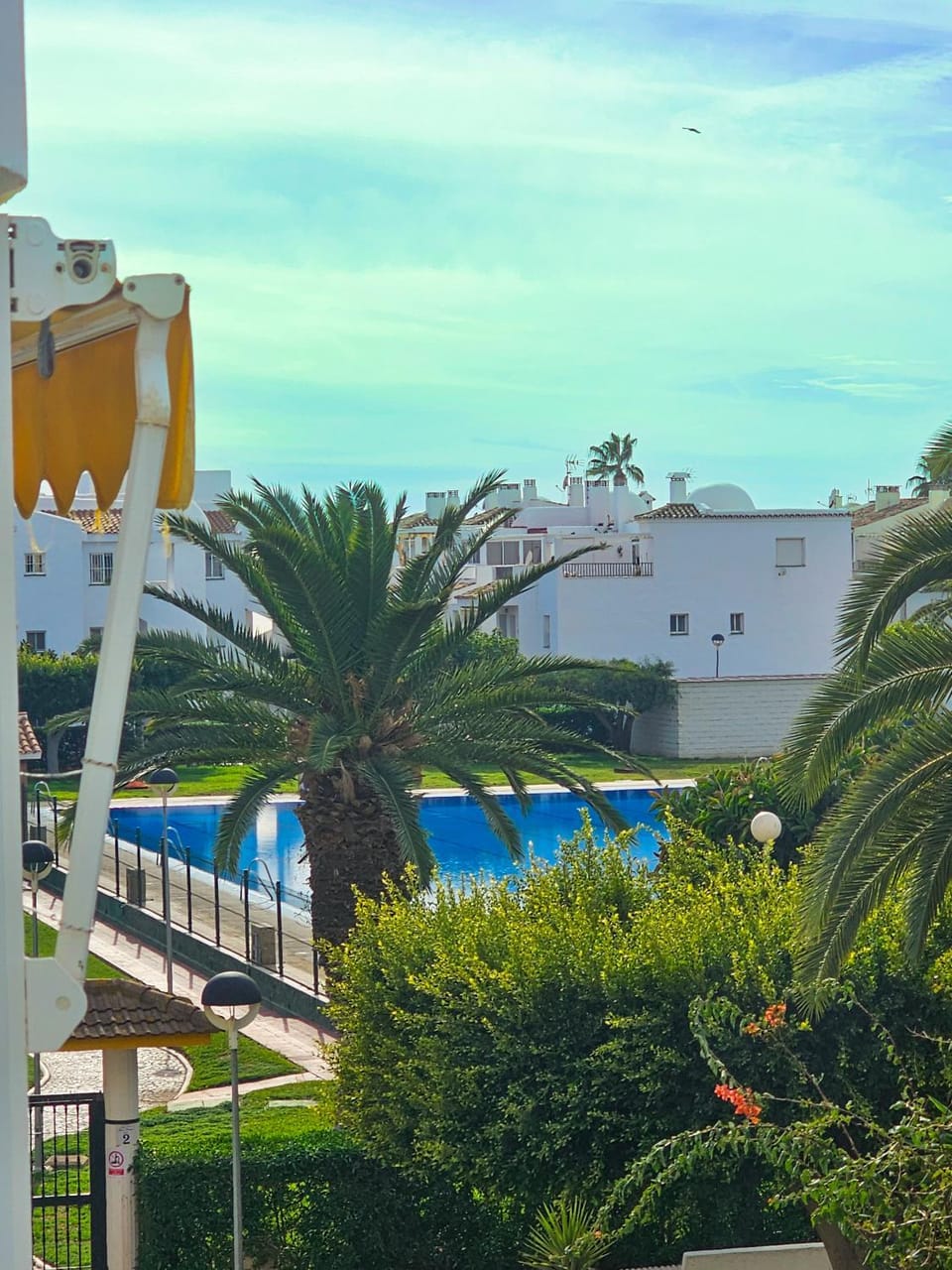 Day, Natural landscape, Garden, Pool view, Swimming pool
