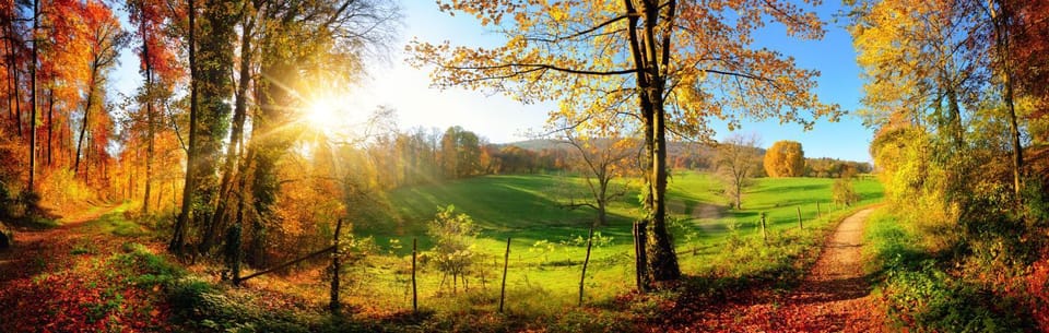 Natural landscape