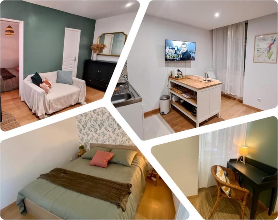 Serene 1BR Oasis in the Heart of Sens Center Apartment in Île-de-France