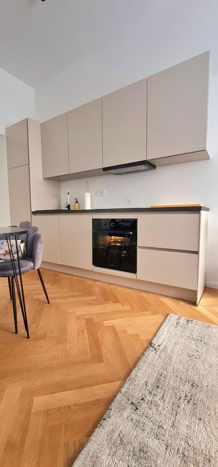 Apartment Tivoli Apartment in Ljubljana