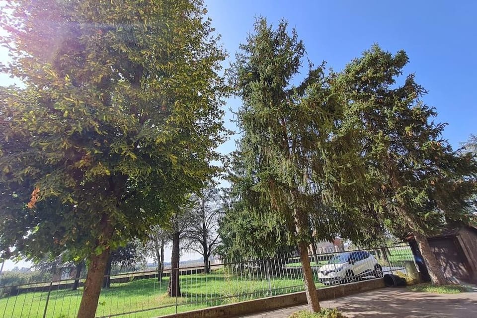 Spring, Garden view, Parking