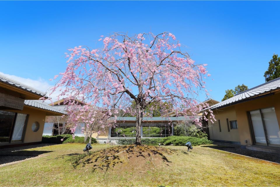 Spring, Day, Garden, On site
