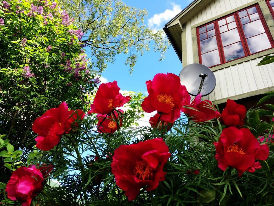 Sweden Slow Living Bed and Breakfast in Sweden