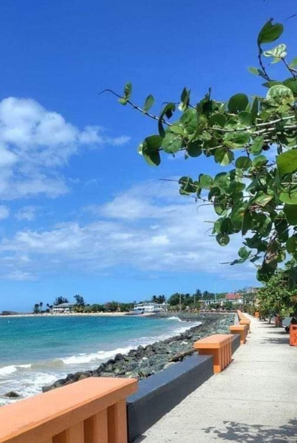 Villahouse3 Bed and Breakfast in Vega Baja