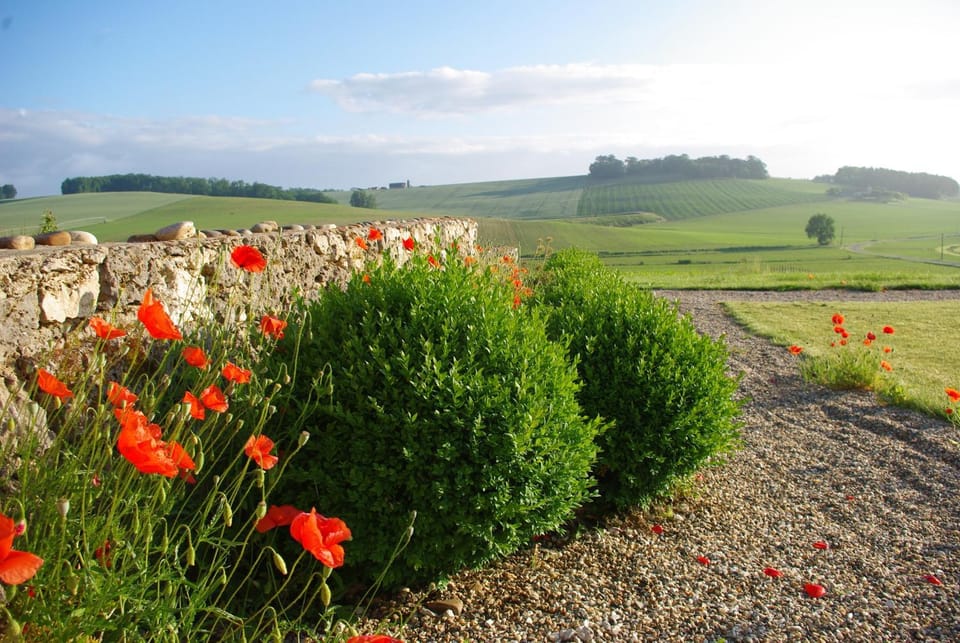 Le Hameau des Coquelicots House in Occitanie