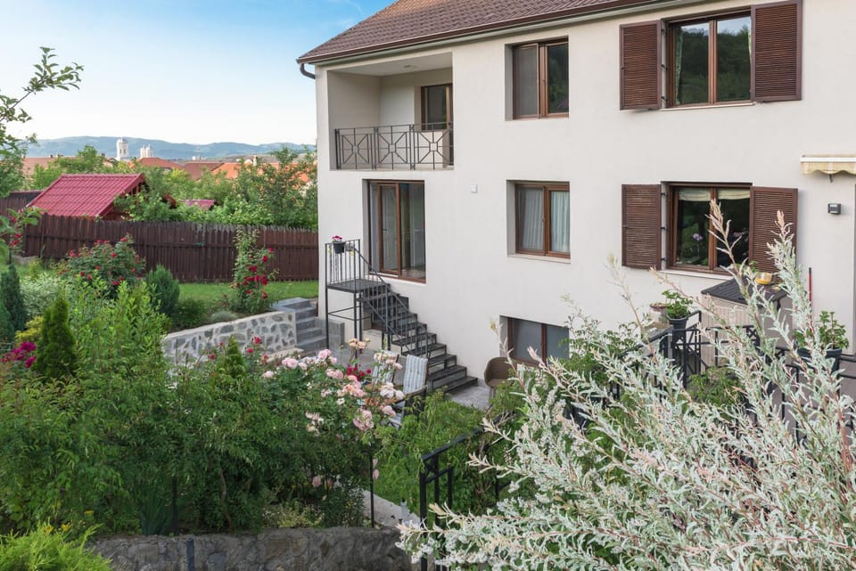 Garden, Garden view, Garden view