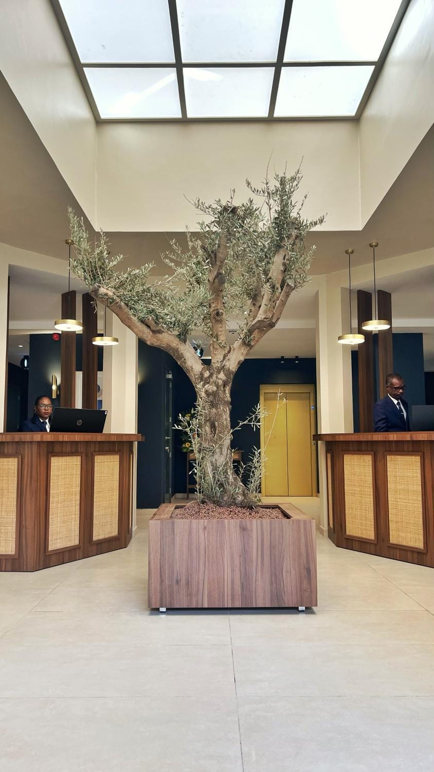 Lobby or reception