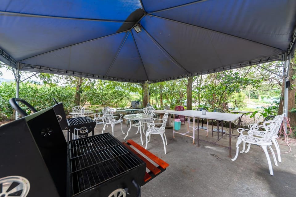 Patio, BBQ facilities