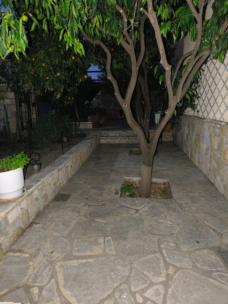 Garden, Garden view