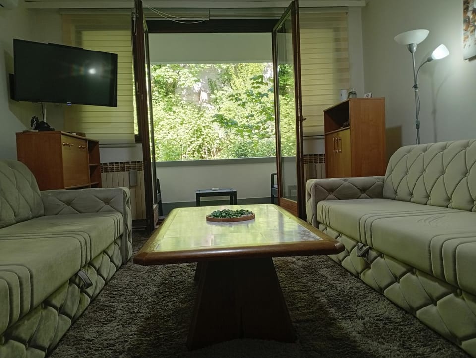 Living room, Seating area, air conditioner