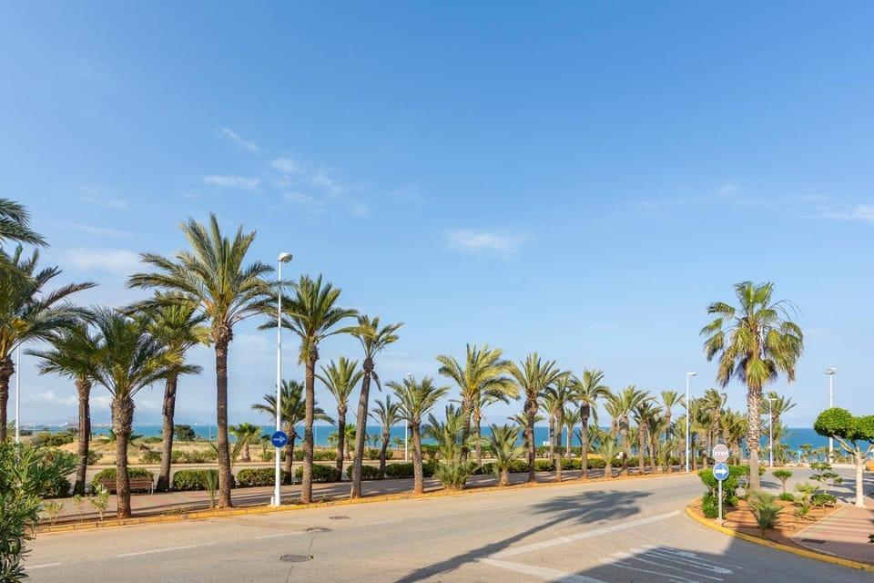 Spring, Day, Neighbourhood, Natural landscape, Beach, Sea view, Quiet street view