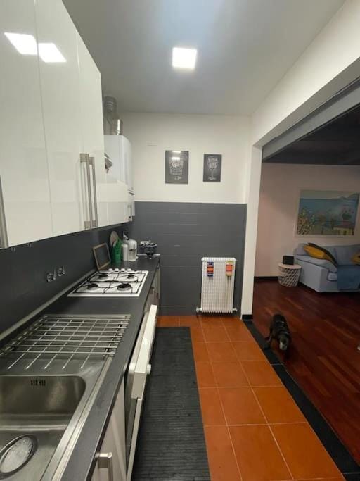 Kitchen or kitchenette, dishwasher, minibar, pet friendly, stove