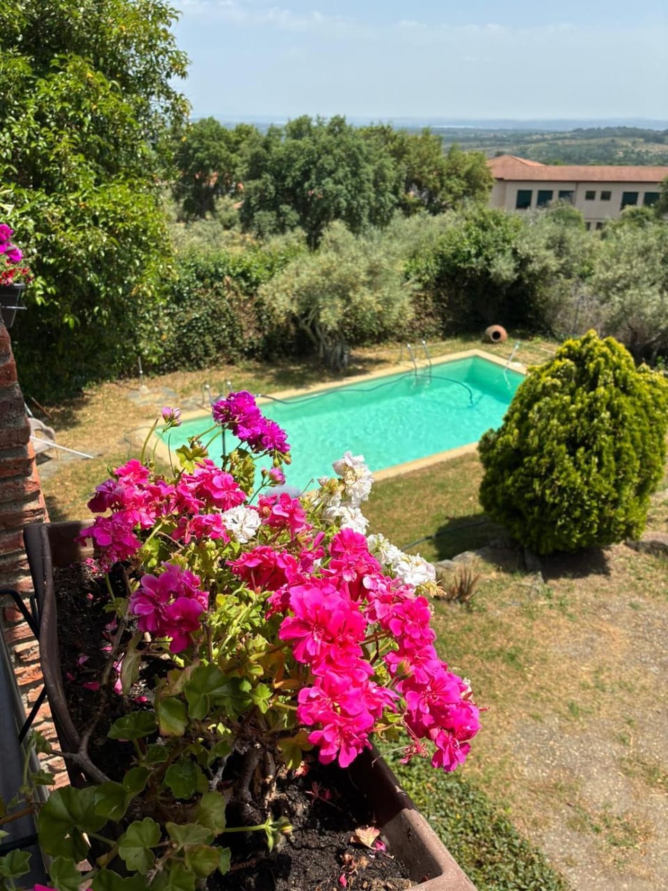 Pool view