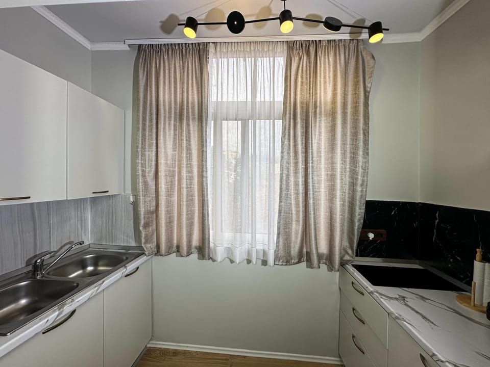 Kitchen or kitchenette, dishwasher, stove