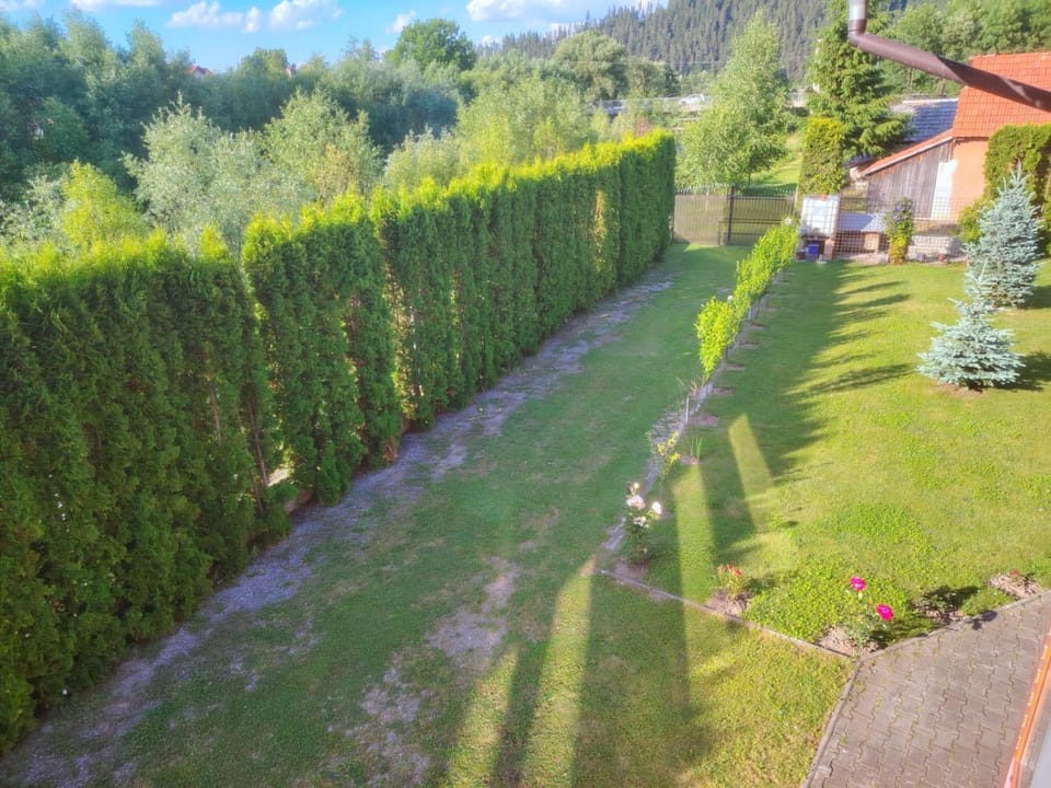 Pensiunea Floro Bed and Breakfast in Brașov County