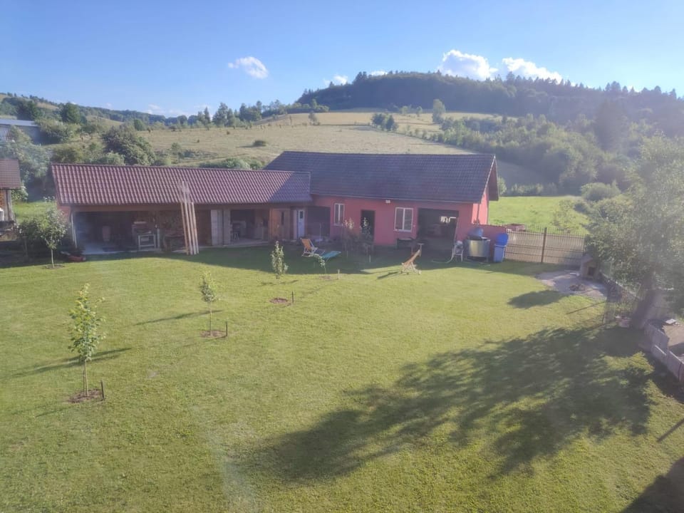 Pensiunea Floro Bed and Breakfast in Brașov County