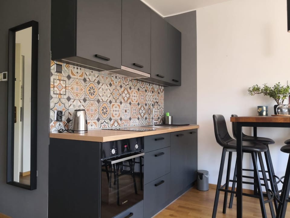 Centrally Chic Studio Apartment in City of Zagreb
