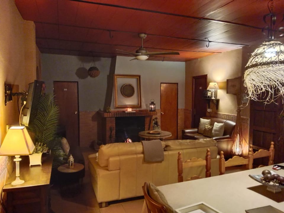 Living room, Seating area, fireplace, flat iron