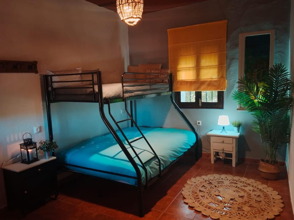Bed, Photo of the whole room, Bedroom, bunk bed