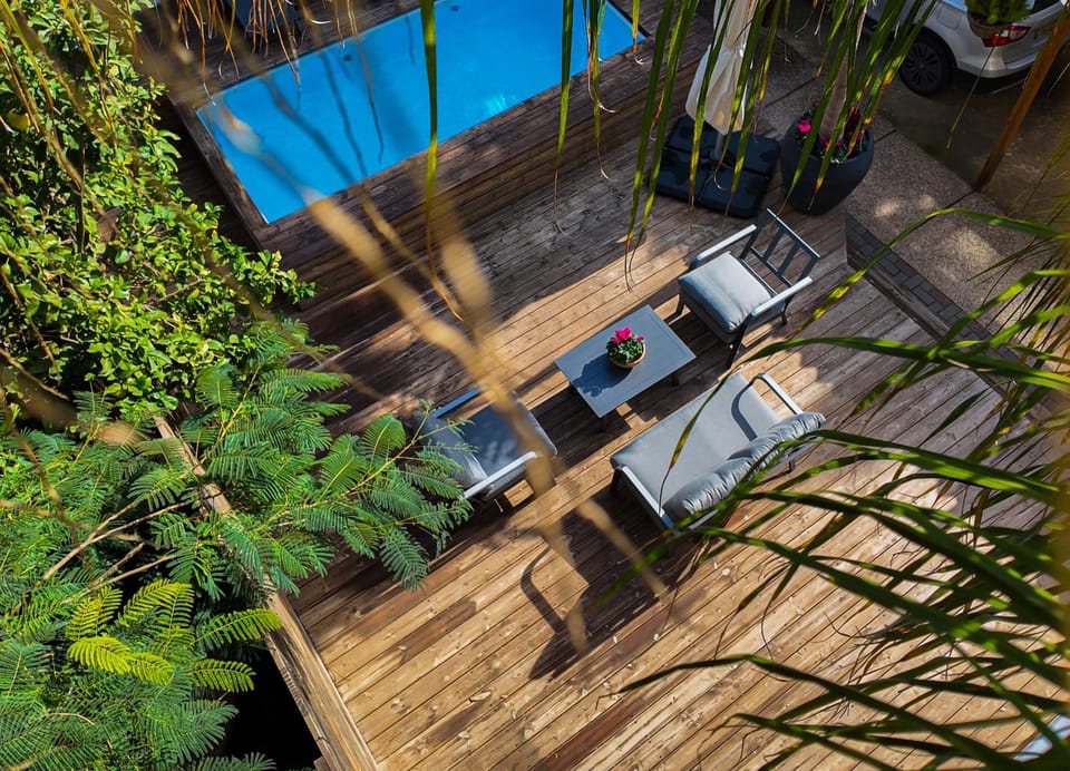 Garden, Garden view, Pool view, Swimming pool
