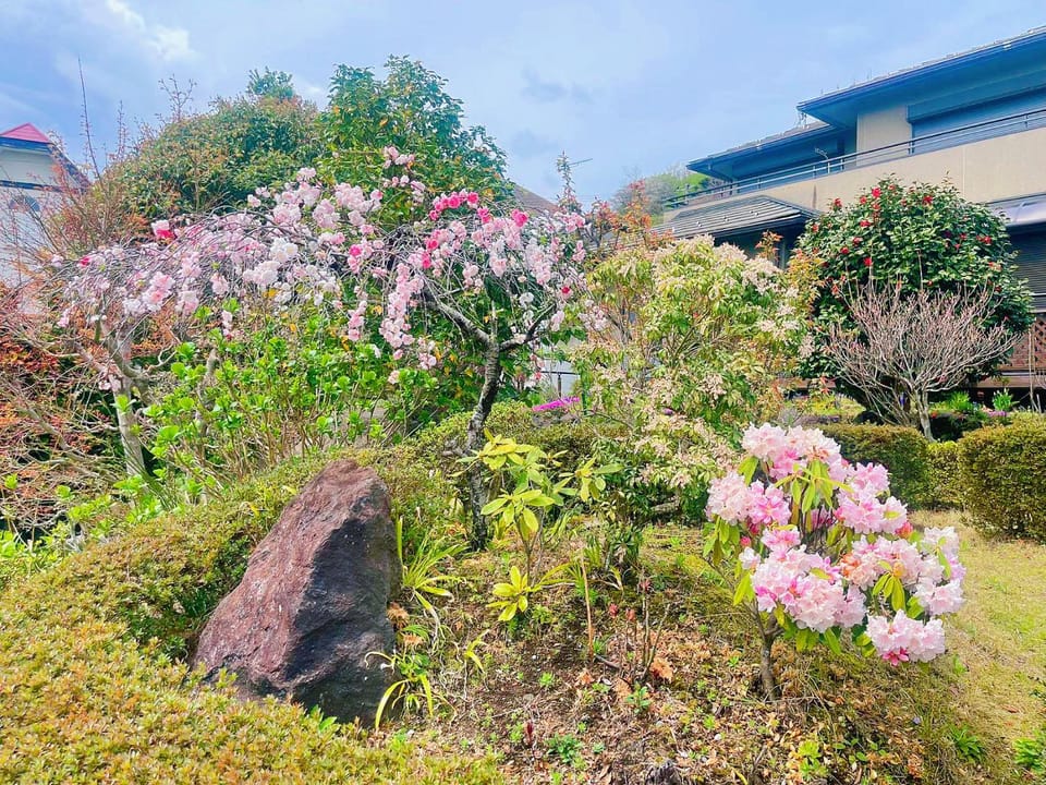 Spring, Garden, Garden view, Inner courtyard view
