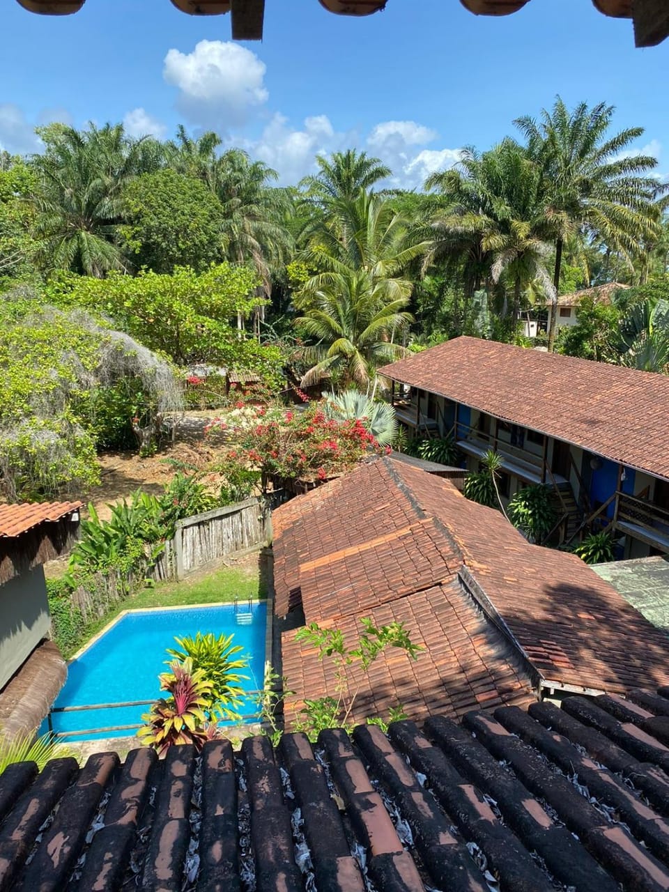 Spring, Day, Garden, Garden view, Pool view, Swimming pool, sunbed