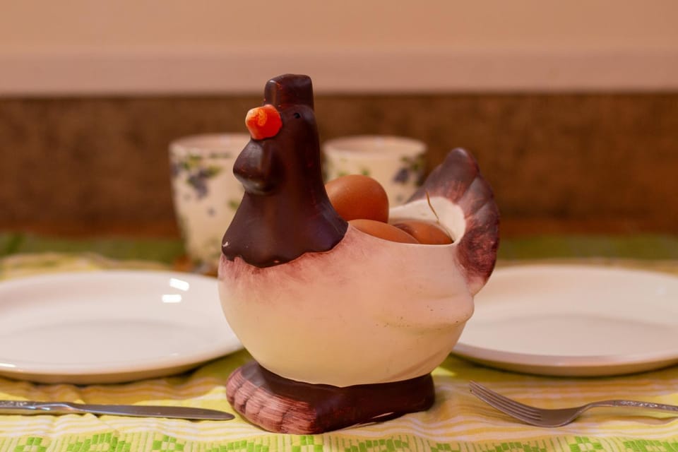 Food and drinks, Dining area, Food