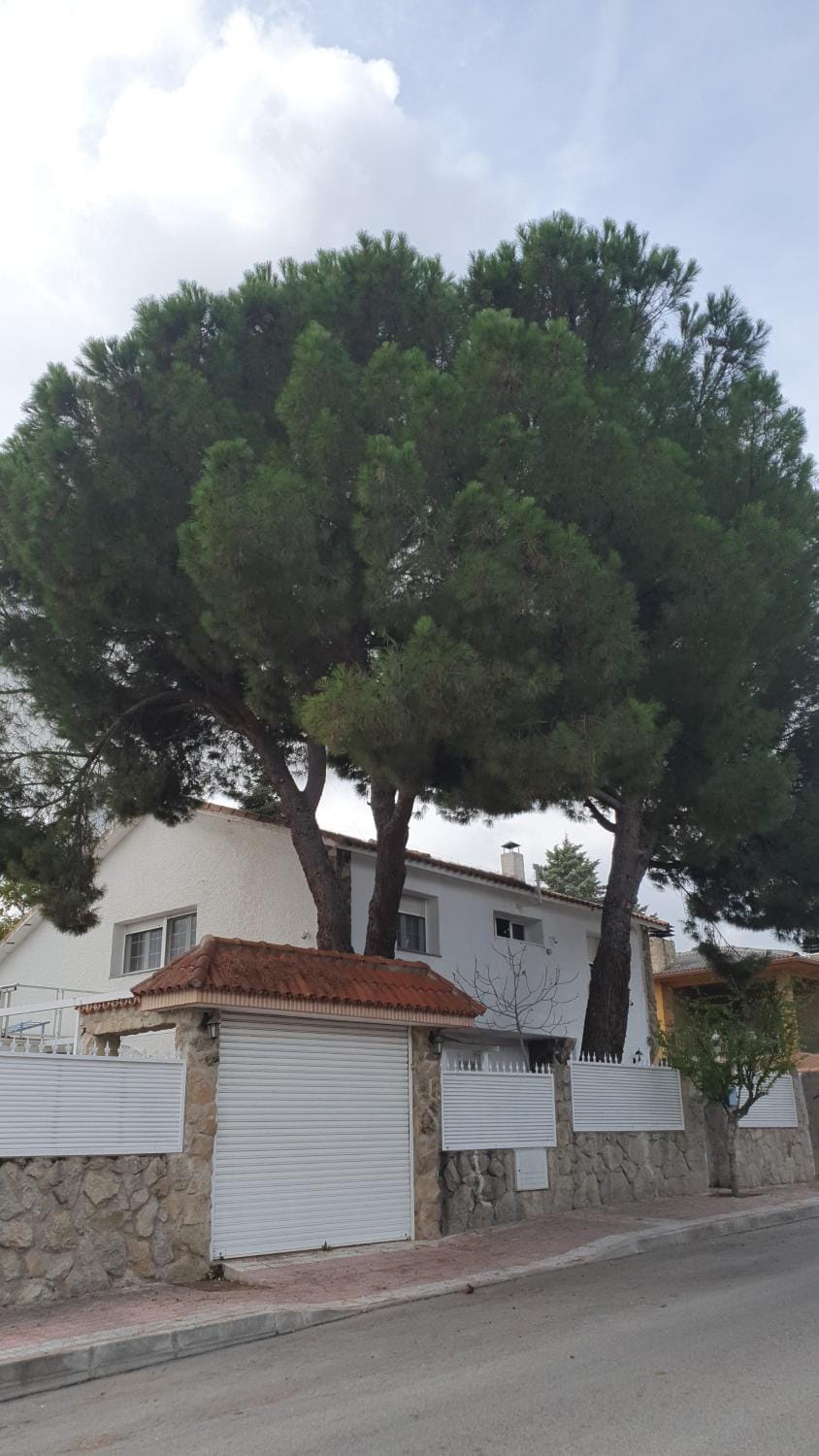 Property building, Day, Neighbourhood, Street view