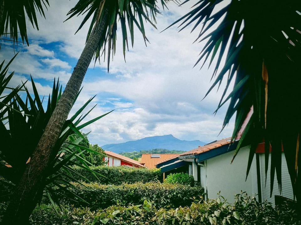 Natural landscape, Garden, Mountain view