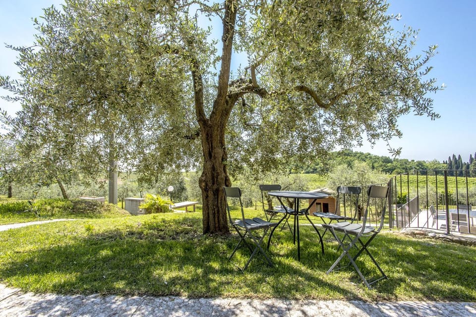 Spring, Day, Natural landscape, Garden, Garden, Dining area, Garden view