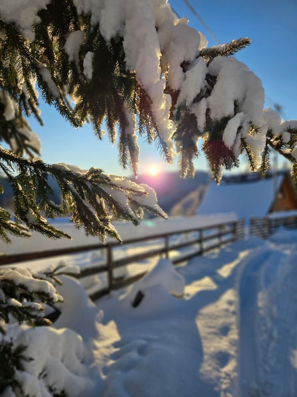 Cabana Lupul din Apuseni Nature lodge in Cluj County