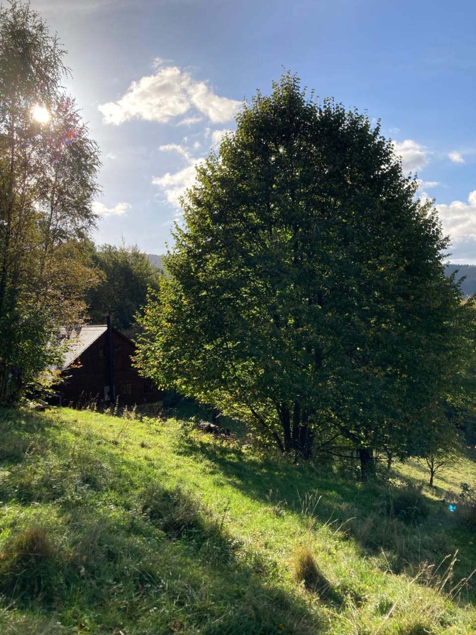 Natural landscape, Garden, Garden, Mountain view