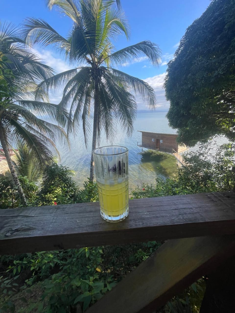 Ponci’s Gate to Gaia Holistic Center Bed and Breakfast in Bocas del Toro Province