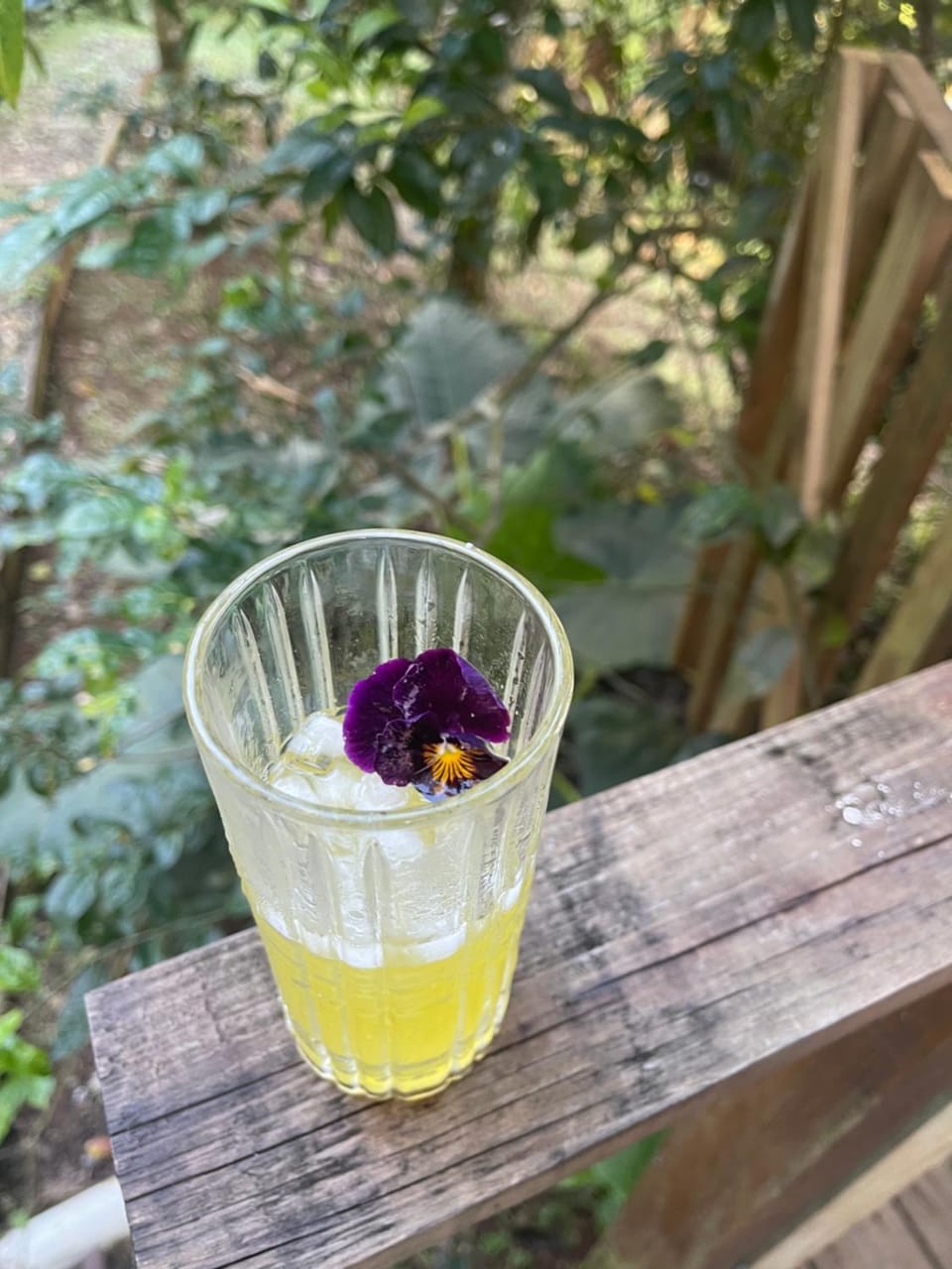 Ponci’s Gate to Gaia Holistic Center Bed and Breakfast in Bocas del Toro Province