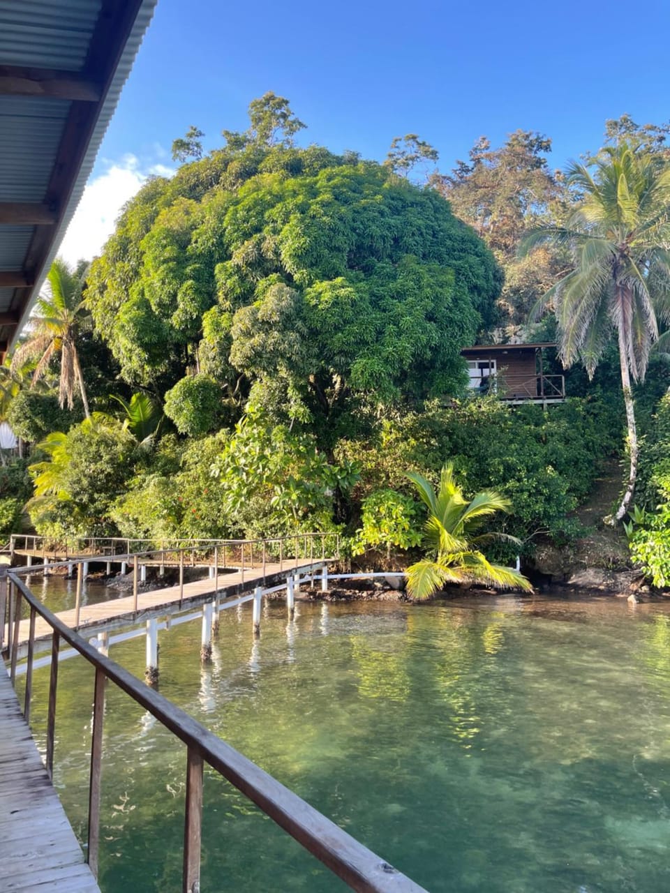 Ponci’s Gate to Gaia Holistic Center Bed and Breakfast in Bocas del Toro Province