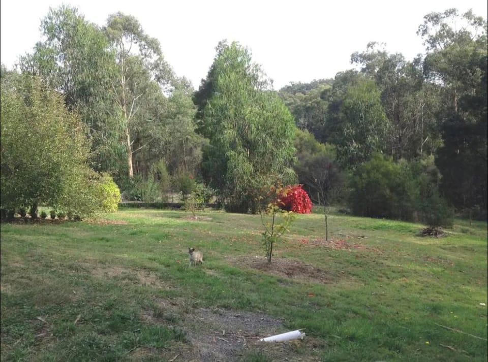 Natural landscape
