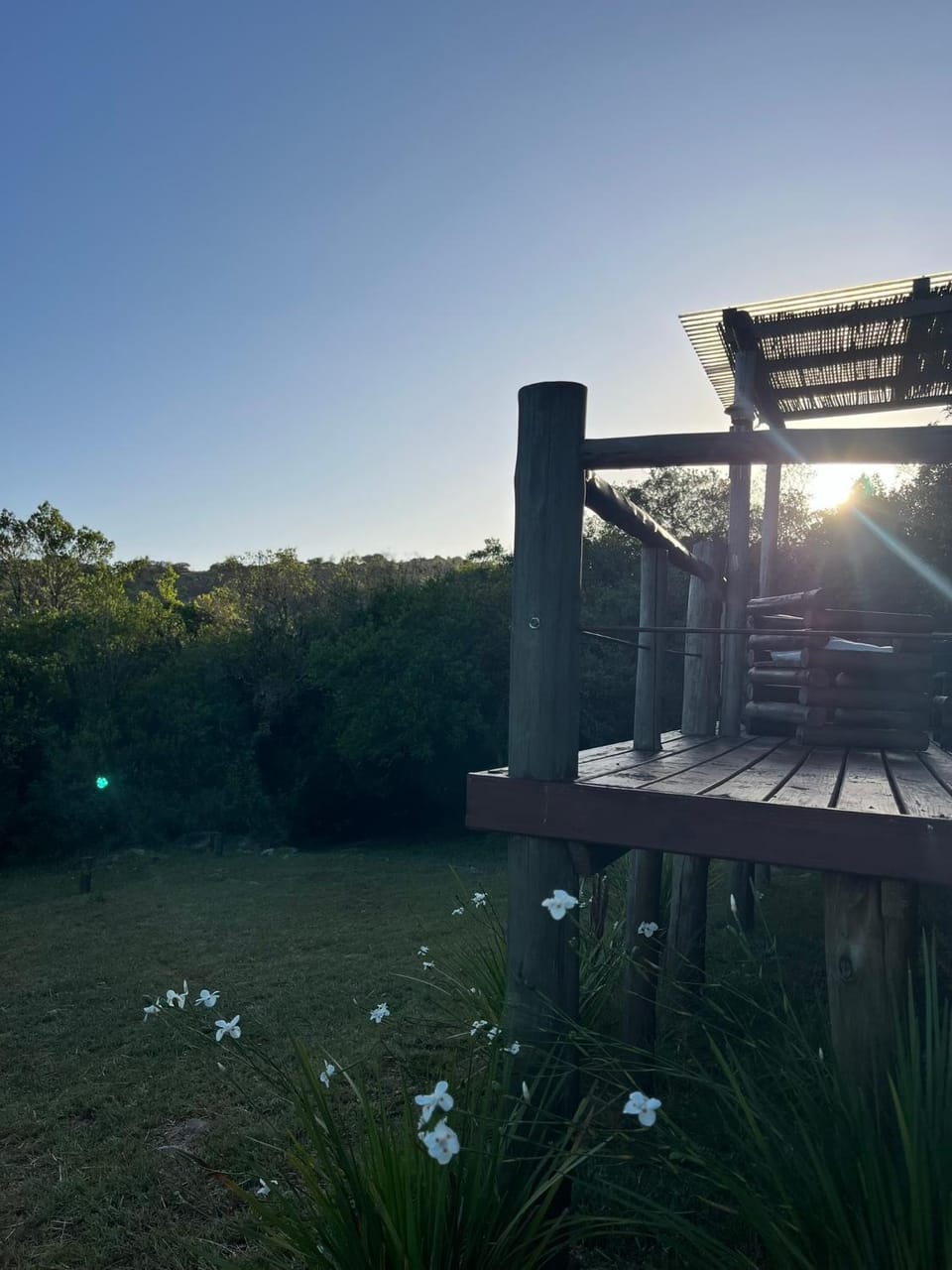 Sunrise