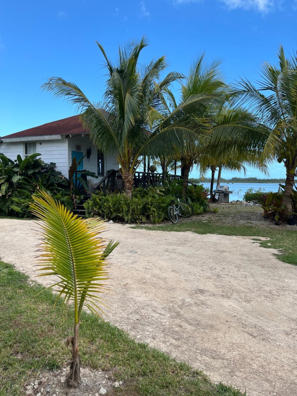 Hidden Paradise - Cottage House in Nassau