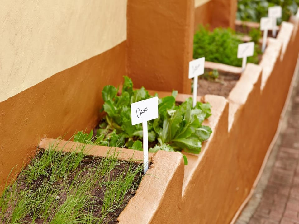 Garden, Decorative detail