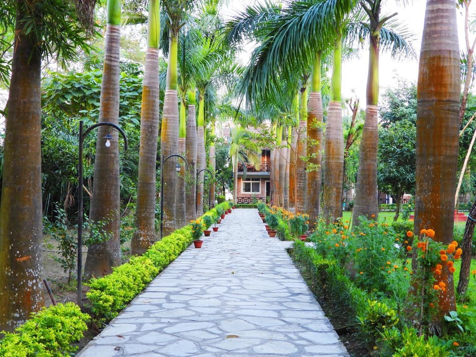 Garden