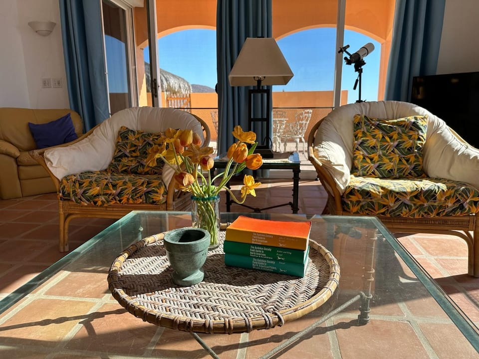 Villa del Mar - Paradise in Cabo Pulmo! Villa in State of Sinaloa