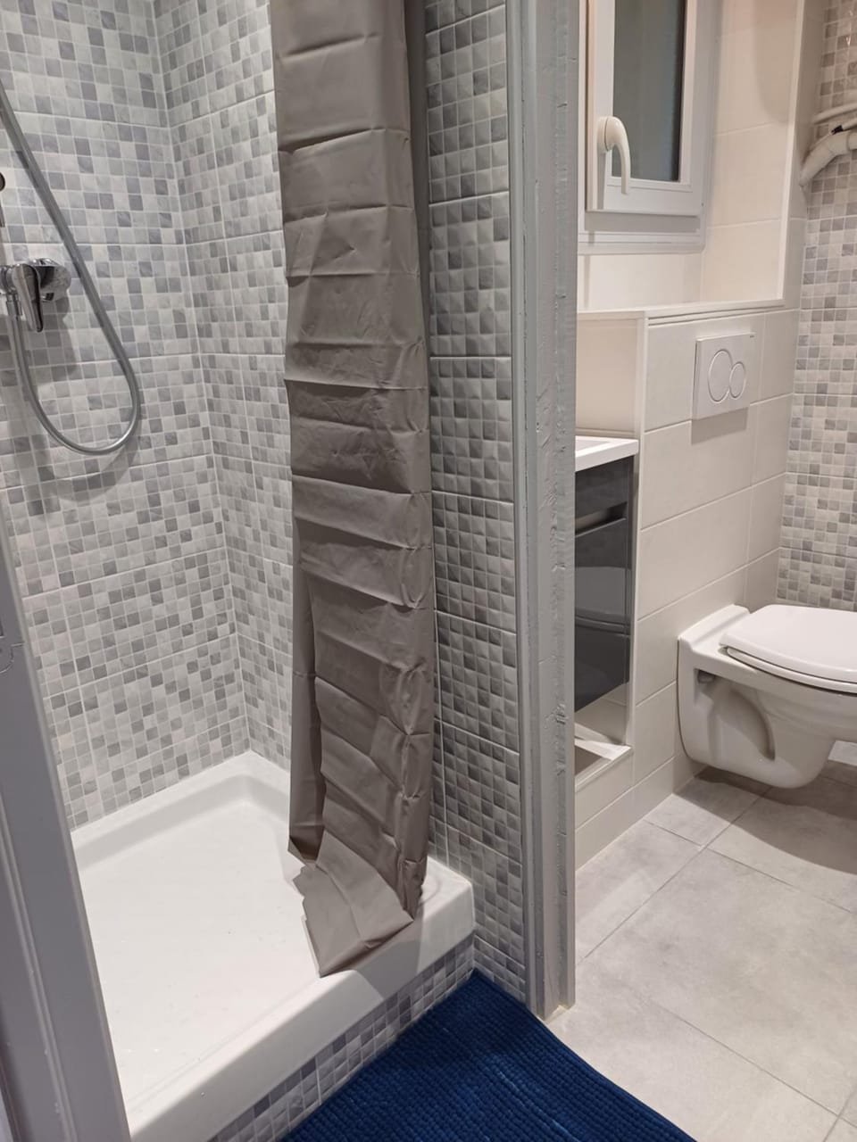 Appartement double Apartment in Auvergne-Rhône-Alpes